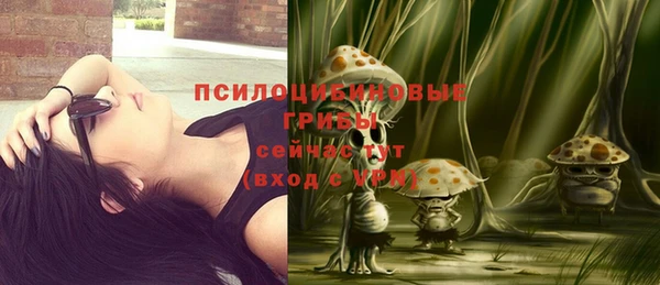 спиды Арсеньев